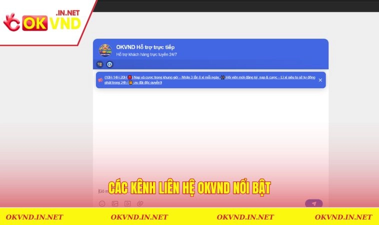 Liên Hệ OKVND 3 Các kênh liên hệ OKVND nổi bật