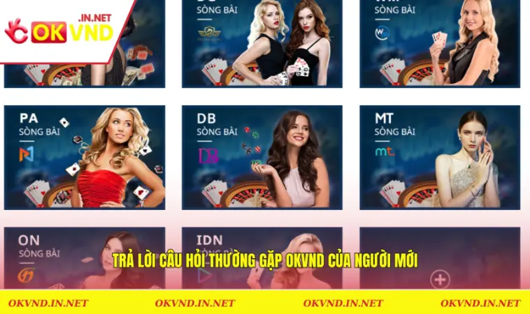 Câu Hỏi Thường Gặp OKVND 1 Trả lời câu hỏi thường gặp OKVND của người mới