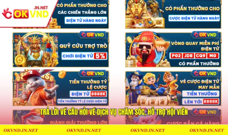 Câu Hỏi Thường Gặp OKVND 3 Trả lời về câu hỏi về dịch vụ chăm sóc, hỗ trợ hội viên